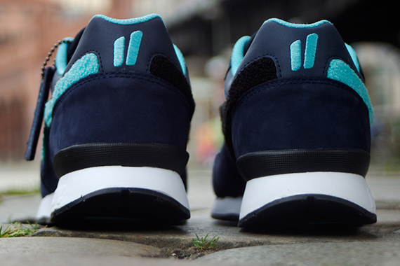 kangaroos-cr1o-4
