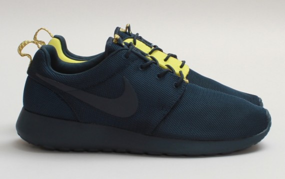 nike-roshe-run-split-10